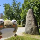 매호근린공원 이미지