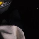 토이랜드 인형샵 | 스페-샬 도쿄데이