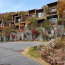 멋진세계 빌라마노 | [국내여행] 제천 포레스트리솜 S25 빌라 클린 후기 및 해브나인스파 체크인 전 이용 리뷰