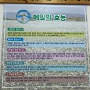 금곡메밀촌 | 방문할 때마다 단골 많은 금곡 맛집 메밀촌