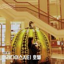 자기부상철도 파라다이스시티역 | 인천 파라다이스 시티 호텔 수영장 아이랑 키즈존 프리미엄 디럭스 후기