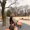 조치원문화정원 카페 앞 | 조치원 버스터미널 근처 대형카페 비건 건강빵 : 커넥트윗 조치원정수장