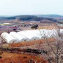 새서울농장(2) 이미지