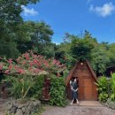 제주안덕농협주유소 | 제주도 2박3일 여행 코스ㅣ남쪽에서 서쪽까지 가볼만한 곳