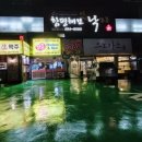 함평해보뻘낙지 이미지
