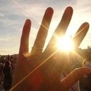 폴레폴레 이미지