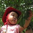 송제농원 이미지