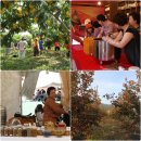 다도예절+꽃차 만들기 이미지