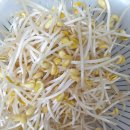 문화콩나물 이미지