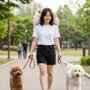 집오는길에 로브루치봤음 ㅋㅋㅋㅋ 이미지