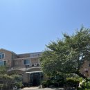 수원가톨릭대학교 | 동해막국수 내돈내산 솔직후기 물막국수 비빔막국수 메밀전병 주차정보 수원가톨릭대학교 근처 현지인 맛집