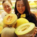토파즈청과 뉴시스