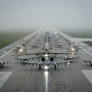 엘레펀트워크(elephant walk)
