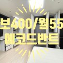 에코드반트 이미지