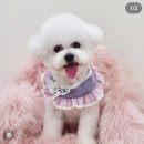보앤벨 이미지