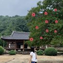 덕산중학교 | [ 경남 산청 여행 ] 여름 산청 가볼만한 곳 ‘덕천서원’