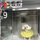 은해보조기 이미지