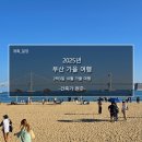 해돋이 작은도서관 | 건축가가 돌아다닌 부산 가을 2박 3일 여행 (25년 10월 중순 여행정리)_스압 주의