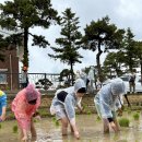 운양초등학교 이미지