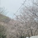 그린시티 | 전북 완주 키즈캠핑장 대둔산그린시티캠핑장 벚꽃캠핑후기 03번