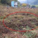 도장초등학교 이미지