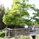 말월마을 이미지