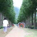 치유, 명상의 숲 이미지