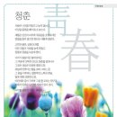 청춘호프 - 춘천시 춘천로 326 | 청춘호프