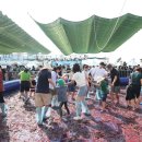송산포도로 티스토리