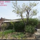 신동축사 이미지