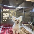 해밀동물병원 이미지