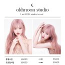 내돈내산 그믐달 사진관 청담 본점 [강아지와 프로필사진 🐶] 연말 정산 사진 후기