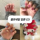 [셀프젤네일 입문](2) 셀프네일 기초재료 모음... 전부 다이소/알리익스프레스/네이버스토어 +온라인...