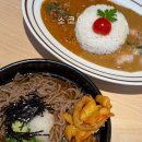 화산로 | 성대역 카레 맛집 | 카페 분위기의 카레집, 소코아 수원성대점