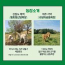 김용수 농장 이미지