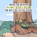 이불이야기 이미지