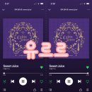 유르르 Daum카페