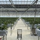 다인농장2 이미지