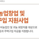 2025년 K-희망사다리 귀농 농업창업 주택구입 지원사업 완벽 가이드. 자격요건, 신청방법, 대출조건...