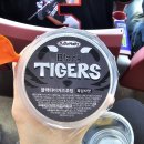 광주 기아 챔피언스필드 원정석 후기 (feat. 야알못의 원정팀 응원 체험)
