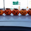 도반농장 이미지