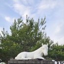 대마리마을회관 이미지