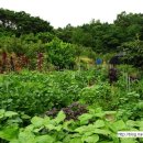 부농상사 이미지