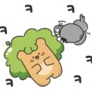 훈훈한 과일 중동 이미지