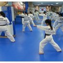 한체대국가대표태권도장 이미지