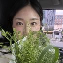 예람 | Wedding : 류무환 스튜디오 감사제 예람실장님 촬영후기💕