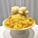 뜰 플라워디저트카페 | 대구 뜰 플라워카페 - 크리쉐프 군고구마 기계 설치