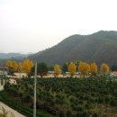 팔렬중학교 이미지