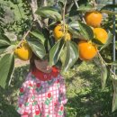 하동1 | 아기들과 함께 떠나는 1박 가을 캠핑. (하동평사리 캠핑장솔직후기)