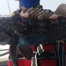 노리앤조이 이미지